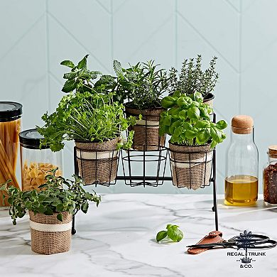 Tiered Mini Plant Stand Indoor Outdoor Plant Stand Flower Pot Stand Herb Succulent Plant Holder