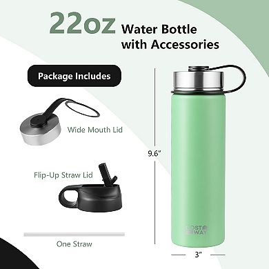 22 Oz Double-walled Insulated Stainless Steel Water Bottle with Straw Lid