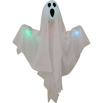 Set of 2 Light Up 1.6-Foot Poseable Ghosts Halloween Decoration