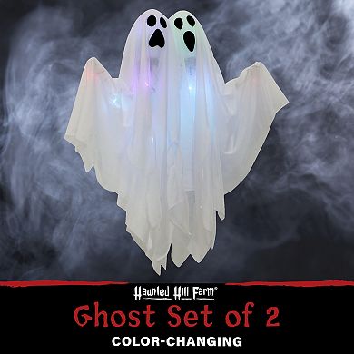 Set of 2 Light Up 1.6-Foot Poseable Ghosts Halloween Decoration