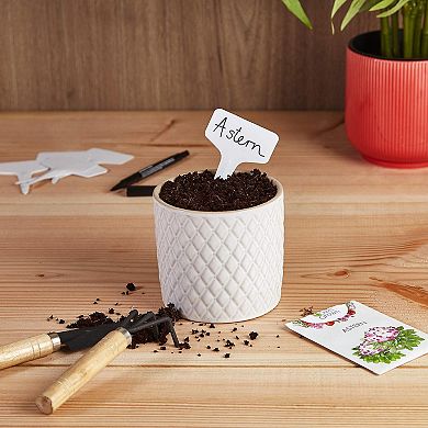 Wooden Plant Name Tags and Marker Pen