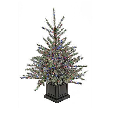 National Tree Company 48-in. Pre-Lit Blue Artificial Christmas Entrance Tree