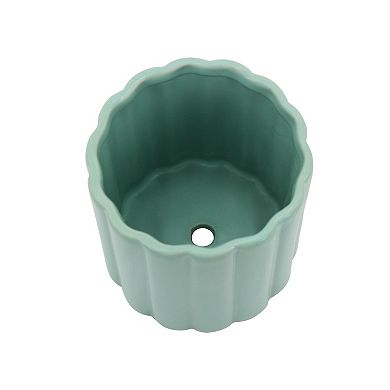 Sonoma Goods For Life Planter Trio Table Decor With Tray