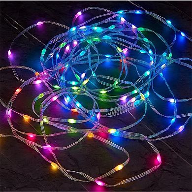 65.6 ft. Dimmable LED Smart String Lights