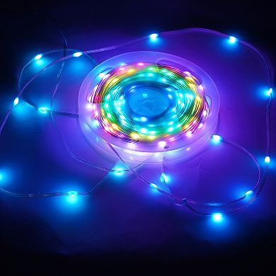 65.6 ft. Dimmable LED Smart String Lights