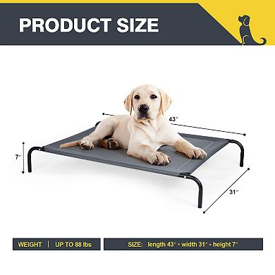Outdoor Camping Steel Frame Elevated Pet Cot Mat