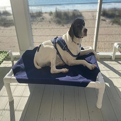 Truman + Teddy Elevated Dog Bed (Ripple)