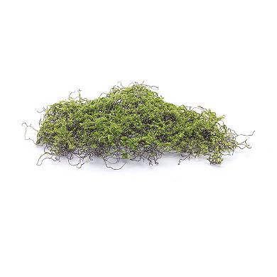 Moss Square (set Of 12)