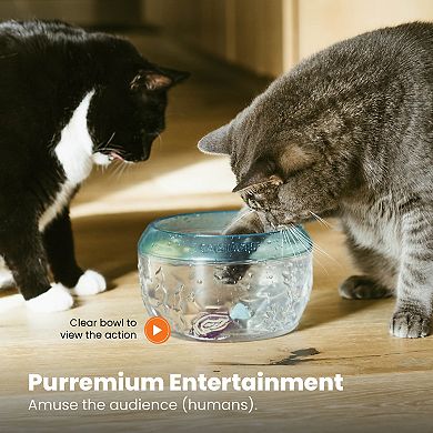 Catstages Meow-Smerizing Fishbowl Cat Toy