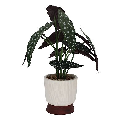 Sonoma Goods For Life Artificial Angel Wing Begonia & Footed Pot Table Decor