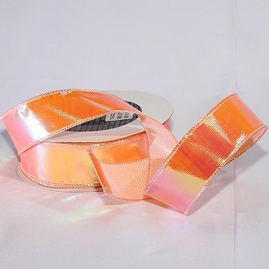 Contemporary Iridescent Wired Craft Ribbon
