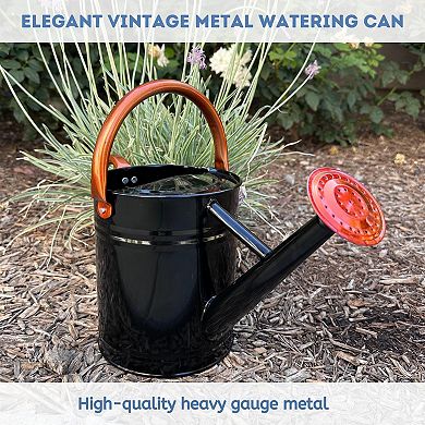 0.8 Gallon Removable Spout Watering Can