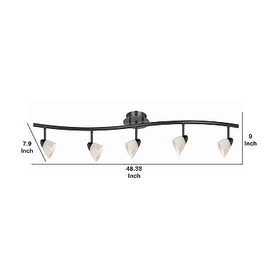 5 Light 120V Metal Track Light Fixture with Glass Shade, Black and White