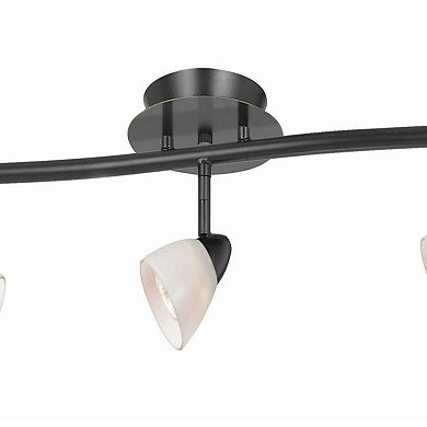 5 Light 120V Metal Track Light Fixture with Glass Shade, Black and White