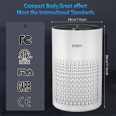 Air Purifier With True Hepa Filter