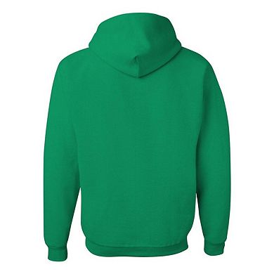 Green Lantern Flame Logo Adult Pull Over Hoodie