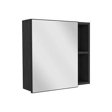 DEPOT E-SHOP Queets Medicine Single Door Cabinet, 2External Shelves, 3Interior Shelves , Black