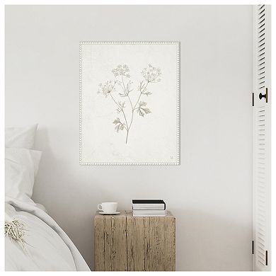 Plants From The Meadow Iv By Sarah Adams Framed Canvas Wall Art Print