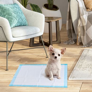 300 Pieces 17 X 24 Inch Pet Wee Pee Piddle Pad