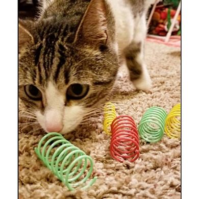 Spot Thin & Colorful Springs Cat Toy - 10 Pack