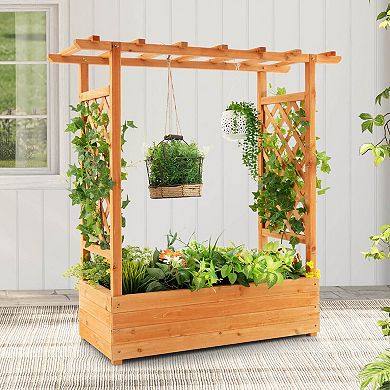 Raised Garden Bed With Trellis Or Climbing Plant And Pot Hanging-orange