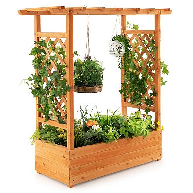 Raised Garden Bed With Trellis Or Climbing Plant And Pot Hanging-orange