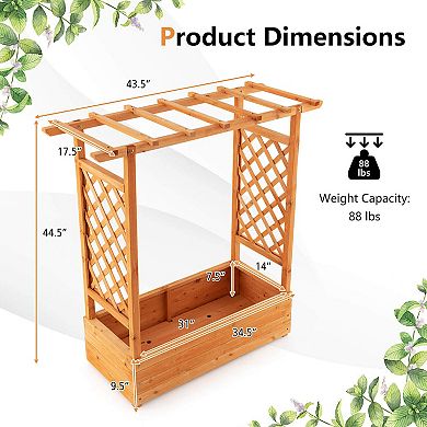 Raised Garden Bed With Trellis Or Climbing Plant And Pot Hanging-orange