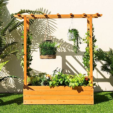 Raised Garden Bed With Trellis Or Climbing Plant And Pot Hanging-orange