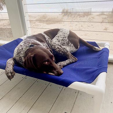 Truman + Teddy Elevated Dog Bed (ZZZ)