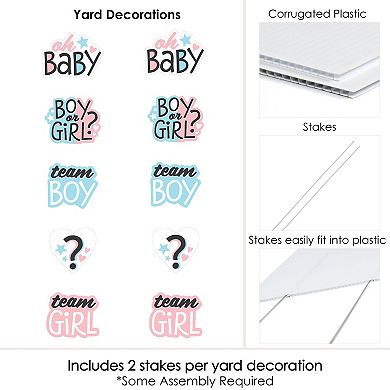 Big Dot of Happiness Baby Gender Reveal - Lawn - Outdoor Party Yard Decorations - 10 Pc