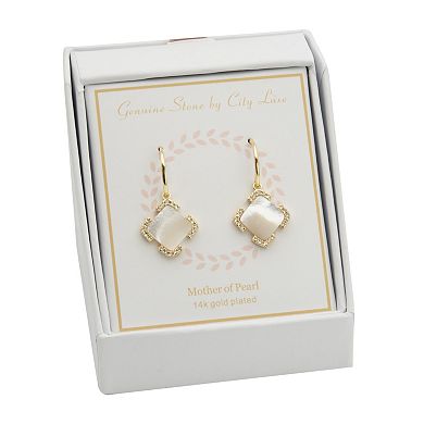 City Luxe Gold Tone Mother of Pearl & Cubic Zirconia Square Fishhook Drop Earrings