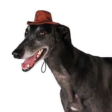 Yellowstone Pet Cowboy Hat