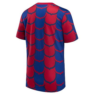 Youth Nike Royal Barcelona 2023/24 Drac Pack Academy Pro Pre-Match Top