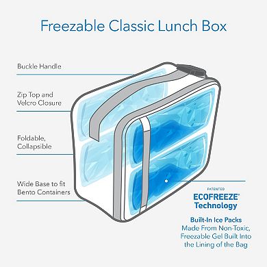 Packit Freezable Classic Lunch Box