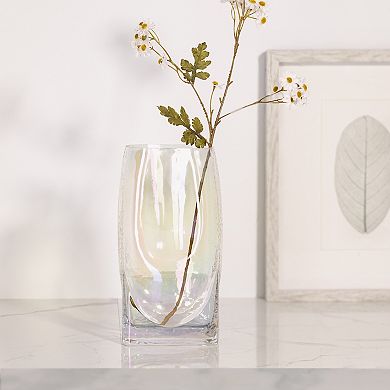 Home Essentials Iridescent Glass Vase Table Decor