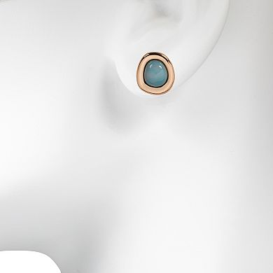 Sonoma Goods For Life® Stone Stud Earrings