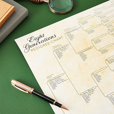 15 Pack Blank Family Tree Genealogy Charts And Forms For Children, 17 X 22 Inch