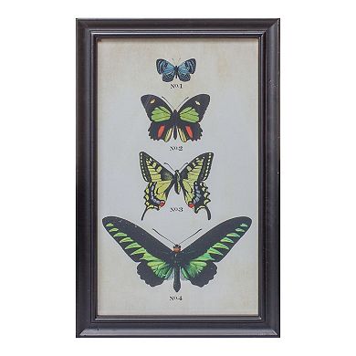 Framed Encyclopedia Butterfly Print Under Glass (set of 2)