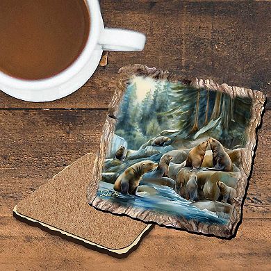 Charming Sea Lions Wooden Cork Coasters Gift Set Of 4