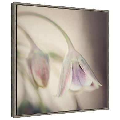 Soft Shades Of Pink Petals By Carla Vermeend Framed Canvas Wall Art Print