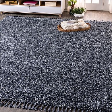 Mercer Shag Plush Tassel Area Rug