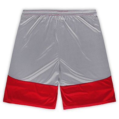 Men's Fanatics Branded Cardinal Arizona Cardinals Big & Tall Team Logo Shorts