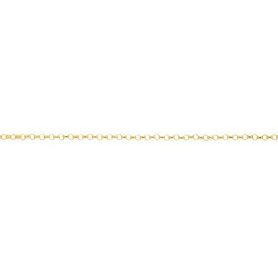 PRIMROSE 14k Gold 1.61 mm Rolo Chain Necklace