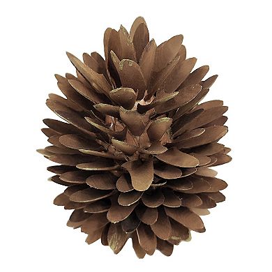 Celebrate Together??? Fall Wood Curl Pinecone Table Decor