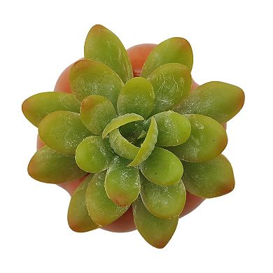 Celebrate Together??? Fall Sculptural Artificial Succulent Table Decor