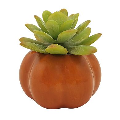 Celebrate Together??? Fall Sculptural Artificial Succulent Table Decor