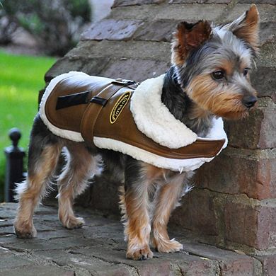 Doggie Design Faux Leather Bomber Dog Coat Harness And Leash