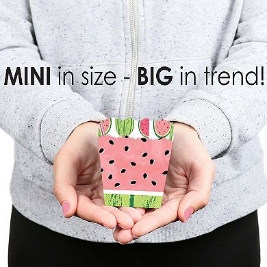 Big Dot Of Happiness Sweet Watermelon - Mini Favor Boxes Fruit Party Treat Candy Boxes 12 Ct