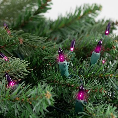 Northlight 50-Count Purple Mini Christmas Light Set 