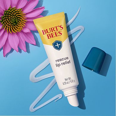 Burt's Bees Rescue Lip Relief with Shea Butter and Echinacea